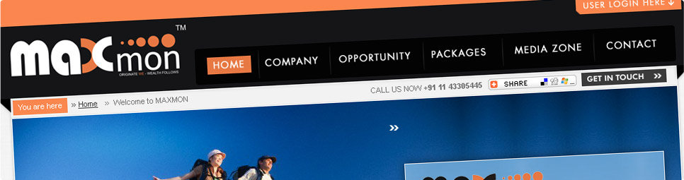 MLM Services